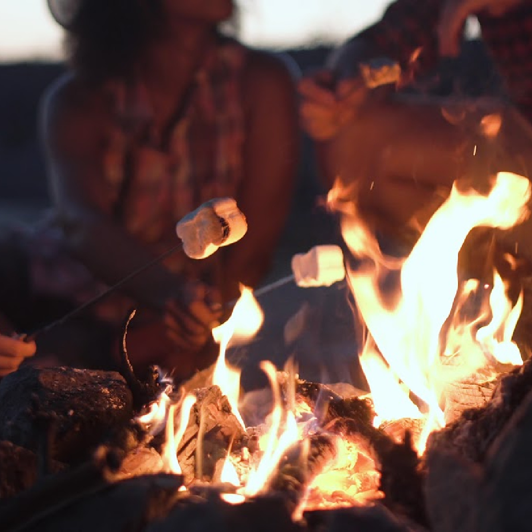 Youth Campfire Night – The Orchards